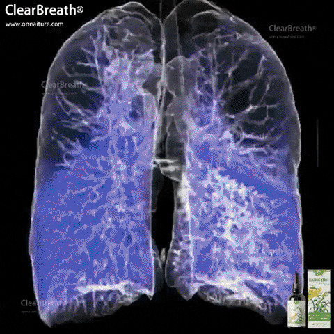 טיפות טבעיות לשיקום הריאות והנשימה
