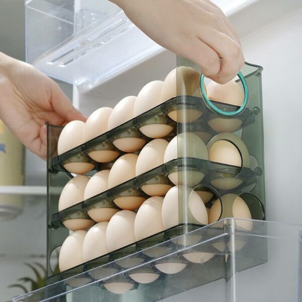 מעמד אחסון ביצים במקרר