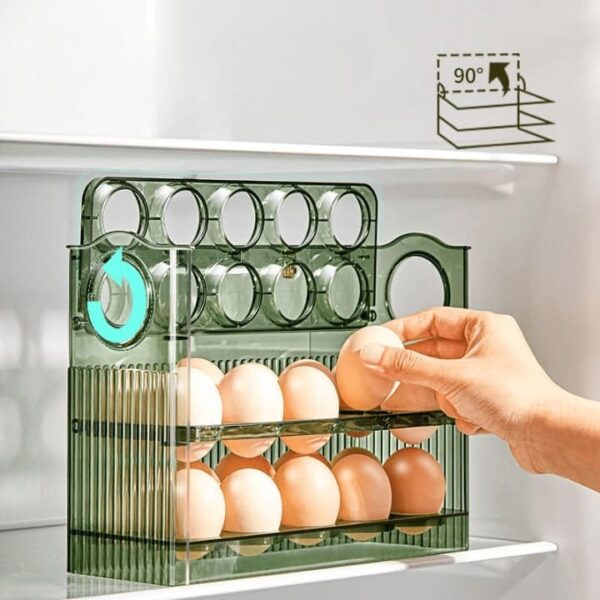 מעמד אחסון ביצים במקרר (7)