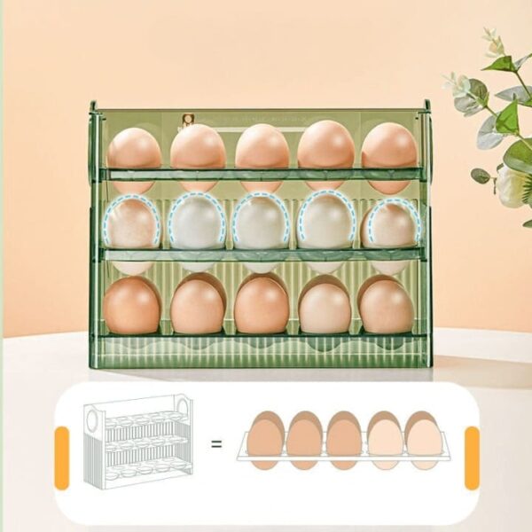 מעמד אחסון ביצים במקרר (7)