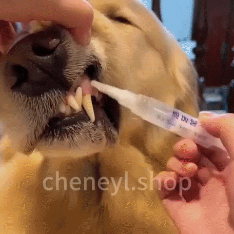 תכשיר טיפולי לשיני כלבים