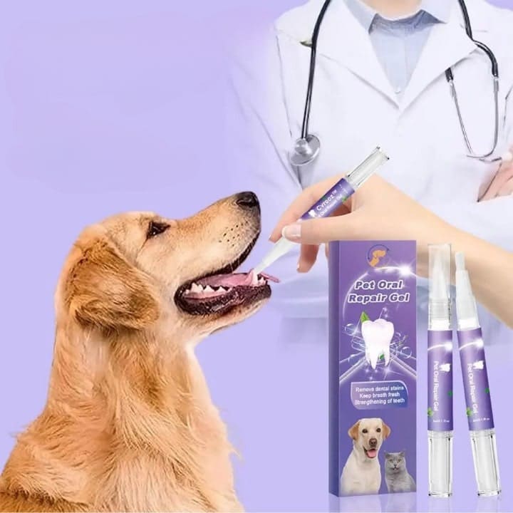 תכשיר טיפולי לשיני כלבים